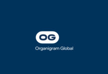 James Yamanaka Named CEO of Organigram Organigram Global rebranded logo 032625