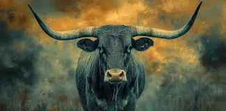 High Stakes: Texas Hemp War Heats Up Texas longhorn steer. Don't mess with Texas hemp.