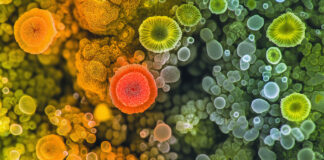 Cannabis Remediation Equipment: RF, X-Ray, and Ozone Solutions microbial-contamination-cannabis-cultivation