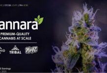 Cannara Biotech Delivers Q2 Results Cannara Biotech Delivers Q2 Results