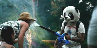 Stargazer Cannabis Festival Paying $1000 to Smoke Weed Stargazer Cannabis Festival Paying $1000 to Smoke Weed