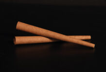 Botani Tea Leaf Wrappers Meticulously made from real tea leaves, Botani's wrappers unlock tea’s natural essence to deliver superior aroma, flavor, and smoking experience.