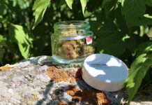 Sana: Eco-friendly Cannabis Packaging, Made in the USA Chemmy Jones flower by In The Flow packaged in a clear recycled-glass jar from Sana Packaging