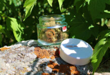 Cannabis Packaging Solutions: Design, Compliance, and Sustainability In The Flow Chemmy Jones cannabis flower in a clear glass jar with white lid designed and manufactured by Sana Packaging, displayed outdoors on a mossy rock.