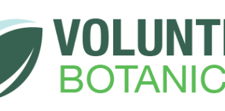 Volunteer Botanicals Launches Service to Help Brewers, Distillers Expand into Hemp Volunteer Botanicals logo