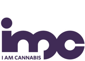 IM Cannabis Appoints Asi Levi Chief Financial Officer IM Cannabis