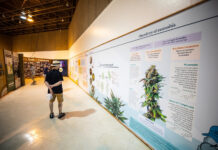 CA State Fair’s Cannabis Exhibit Returns Bigger and Louder Than Ever CA State Fair’s Cannabis Exhibit Returns Bigger and Louder Than Ever