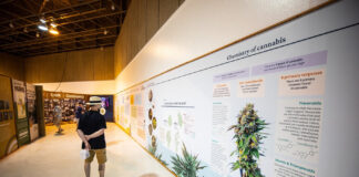 CA State Fair’s Cannabis Exhibit Returns Bigger and Louder Than Ever CA State Fair’s Cannabis Exhibit Returns Bigger and Louder Than Ever
