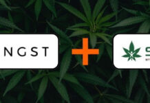 Vangst Acquires Se7en Staffing Vangst-acquires-Seven-Staffing