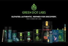 Green Dot Labs Unveils Refreshed Brand Identity Green Dot Labs refreshed brand identity
