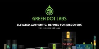 Green Dot Labs Unveils Refreshed Brand Identity Green Dot Labs refreshed brand identity