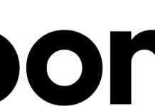 New Survey: Half of German Cannabis Patients Would Return to Illicit Market Without Digital Access Bloomwell Group logo