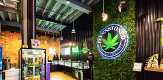 FlynnStoned Dispensary: Designing the Ultimate Showcase FlynnStoned Cannabis Company’s lobby in Syracuse featuring branded product display cases, neon signage, and greenery accent wall with illuminated logo.