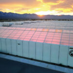 Fohse to Light Green Horizons’ 1M-Square-Foot Facility in Coachella Valley Green Horizons Coachella Valley cultivation facility