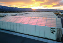 Fohse to Light Green Horizons’ 1M-Square-Foot Facility in Coachella Valley Green Horizons Coachella Valley cultivation facility