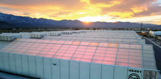 Fohse to Light Green Horizons’ 1M-Square-Foot Facility in Coachella Valley Green Horizons Coachella Valley cultivation facility