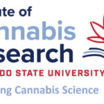 Can Weed Labels Be Trusted? Study Shows It Depends on What You’re Buying Institute of Cannabis Research logo