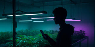 Gen Z Cultivators Are Growing More than Weed A young Gen Z cannabis cultivator monitors a high-tech indoor grow under teal and purple lighting, symbolizing innovation, automation, and digital integration in modern cultivation.