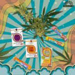 THC Therapeutics Inc. Acquires SugarTop Buddery THC Therapeutics Inc. Acquires SugarTop Buddery