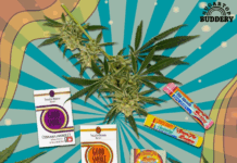 THC Therapeutics Inc. Acquires SugarTop Buddery THC Therapeutics Inc. Acquires SugarTop Buddery