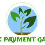 Webflow Payment Gateways for Cannabis Seeds Set to Surge in 2025, Organic Payment Gateways Predicts Organic Payment Gateways logo
