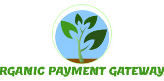 Webflow Payment Gateways for Cannabis Seeds Set to Surge in 2025, Organic Payment Gateways Predicts Organic Payment Gateways logo