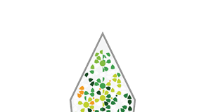 Avicanna Receives US Patent for Topical Product unnamed (1)