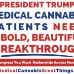 Patients Launch ‘Great Things’ Campaign Echoing Trump’s Remarks on Medical Cannabis 111