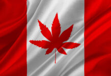 Report: Legal Cannabis Added $16B to Canada’s GDP in 2024 Canadian-flag-with-marijuana-leaf-by-MyBona-Depositphotos