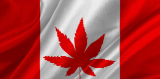 Report: Legal Cannabis Added $16B to Canada’s GDP in 2024 Canadian-flag-with-marijuana-leaf-by-MyBona-Depositphotos