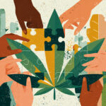 ESOPs Could Be the Cannabis Industry’s Most Powerful Equity Tool Illustration of diverse hands assembling a cannabis leaf puzzle, symbolizing employee ownership and collaborative equity in the cannabis industry.