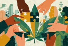 ESOPs Could Be the Cannabis Industry’s Most Powerful Equity Tool Illustration of diverse hands assembling a cannabis leaf puzzle, symbolizing employee ownership and collaborative equity in the cannabis industry.