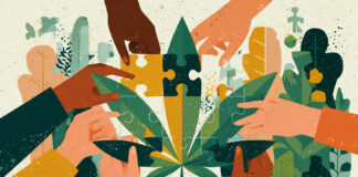 ESOPs Could Be the Cannabis Industry’s Most Powerful Equity Tool Illustration of diverse hands assembling a cannabis leaf puzzle, symbolizing employee ownership and collaborative equity in the cannabis industry.