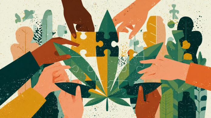 Illustration of diverse hands assembling a cannabis leaf puzzle, symbolizing employee ownership and collaborative equity in the cannabis industry.