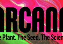 Arcana Collective Unites Legacy Cannabis Breeders and Business Leaders to Advance Genetics image