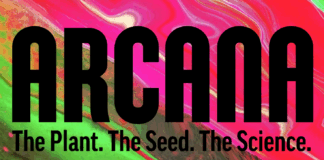 Arcana Collective Unites Legacy Cannabis Breeders and Business Leaders to Advance Genetics image