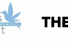 Deep Roots Harvest and The Source Host 3rd Annual Food Drive unnamed (1)