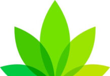 IndicaOnline Launches sweedePay: Bank-to-Bank Payment Platform for Cannabis E-Commerce IndicaOnline