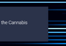 9th Annual State of the Cannabis Industry Conference to Take Place October 27 in Boston 2025-state-of-the-cannabis-industry-conference