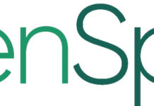 GreenSpace Appoints Joe Khoury Chief Digital Officer Greenspace logo