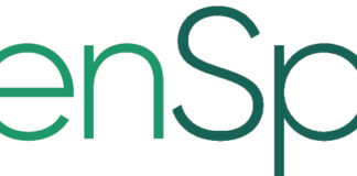 GreenSpace Appoints Joe Khoury Chief Digital Officer Greenspace logo