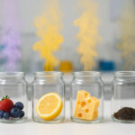 Researchers Suggest a Standardized Language for Cannabis Aroma Glass jars in a lab setting containing berries, a lemon slice, Swiss cheese, and dried tea leaves, each emitting a colored vapor plume representing different aroma profiles.