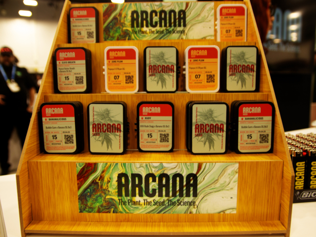 Arcana Seed booth at MJBizCon 2025 featuring labeled cannabis seed tins and branded packaging.