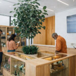Cannabis Is Failing First-Time Customers. Retailers Must Fix the Experience Customers browse products inside a bright, modern cannabis dispensary designed to feel welcoming and educational.