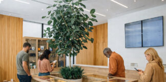 Cannabis Is Failing First-Time Customers. Retailers Must Fix the Experience Customers browse products inside a bright, modern cannabis dispensary designed to feel welcoming and educational.