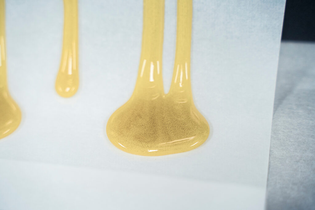 Golden rosin concentrate oozing onto white parchment during solventless extraction.