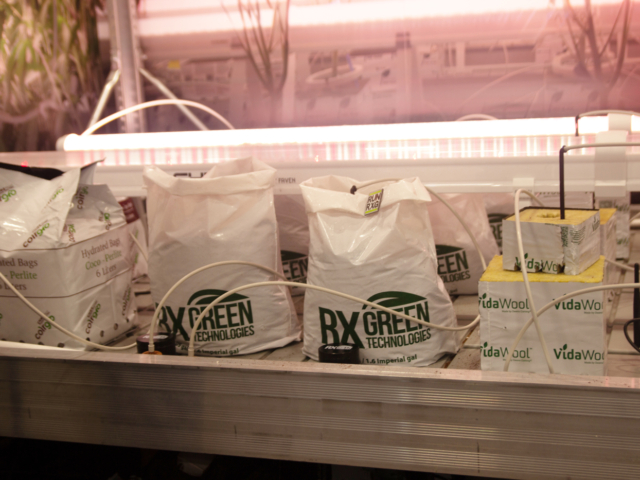 RX Green Technologies and VidaWool substrates and nutrient bags displayed in a cultivation setup at MJBizCon 2025.