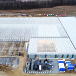 Sensi Brands Inc.™ Acquires Maricann Inc. Sensi Brands acquires Mericann