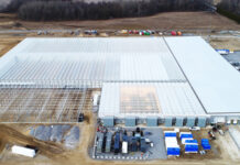 Sensi Brands Inc.™ Acquires Maricann Inc. Sensi Brands acquires Mericann