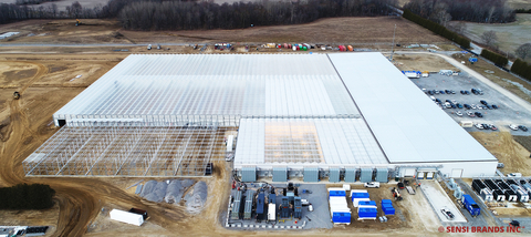 Sensi Brands acquires Mericann